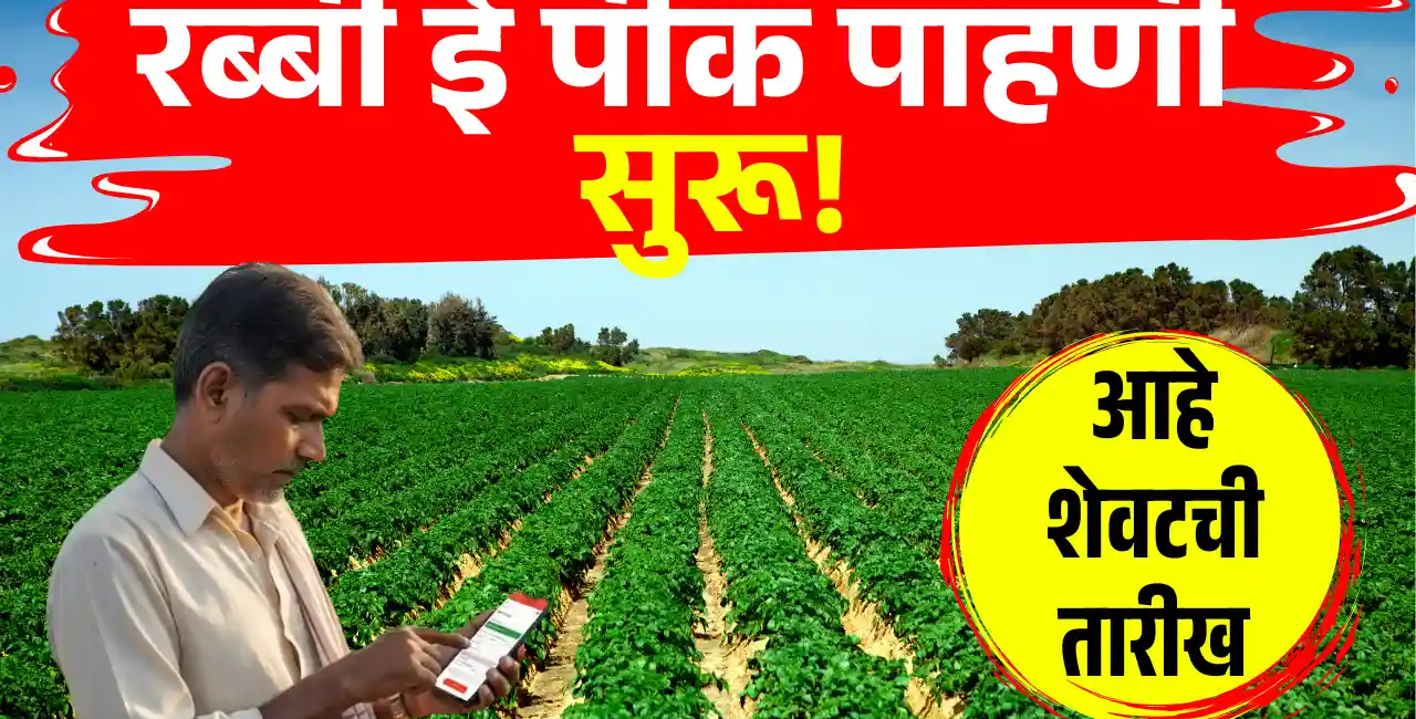 rabbi pik pahani suru