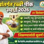 rabbi pik spardha maharashtra