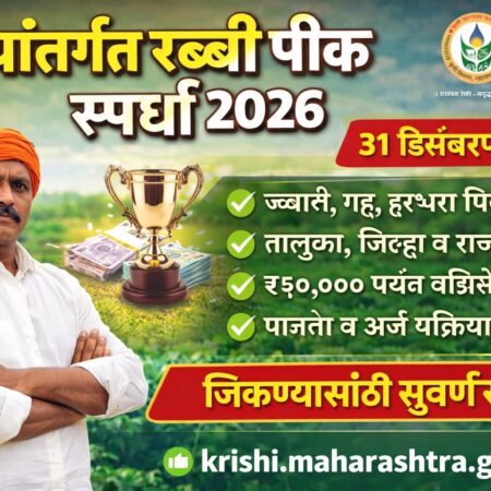 rabbi pik spardha maharashtra